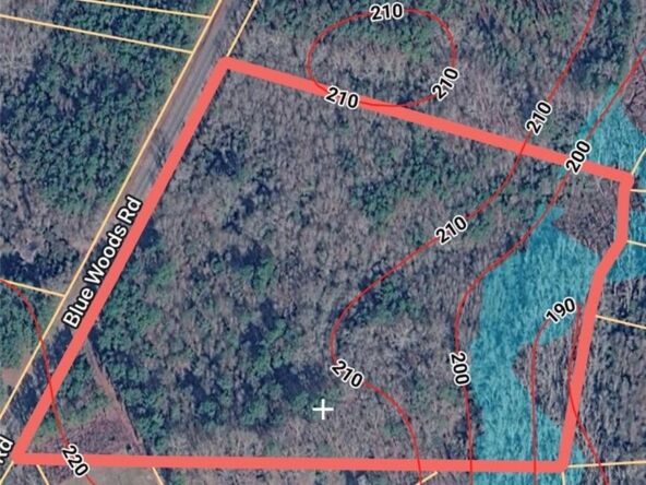 Blue Woods Road, Laurinburg, NC 28352 - 16.15 acre tract