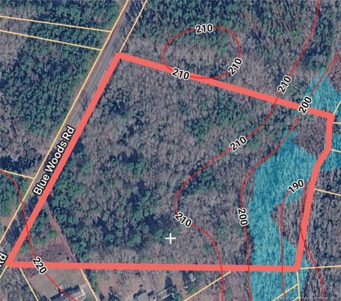 Blue Woods Road, Laurinburg, NC 28352 - 5.38 acre tract